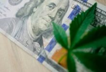 cannabis stocks investment opportunities
