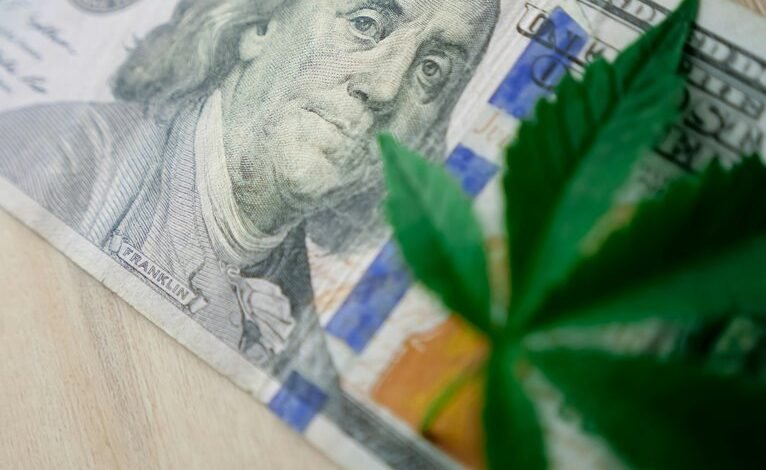 cannabis stocks investment opportunities