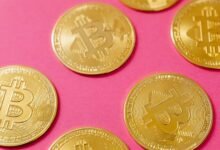 future of crypto networks