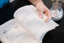 huzoxhu4 f6q5 3d overview insights