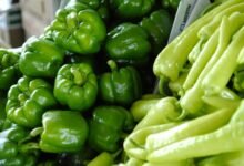 kiolopobgofit ingredient analysis
